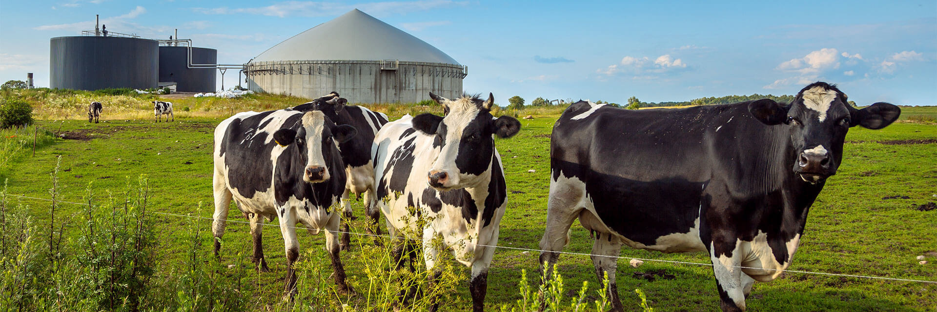 Biogas Headerbild